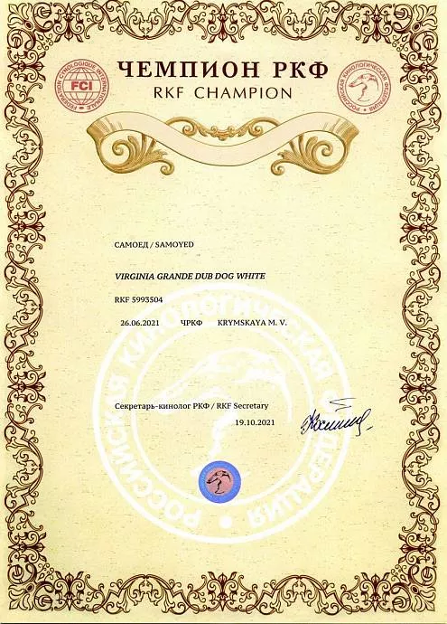 Диплом собаки - Вирджиния Чемпион РКФ