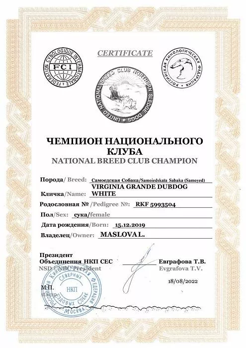Диплом собаки - Вирджиния Чемпион НКП
