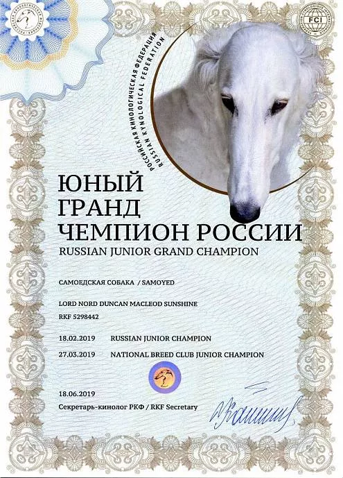 Диплом собаки - Дункан юный Гранд Чемпион России