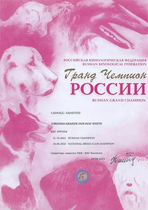 Диплом собаки - Вирджиния Гранд Чемпион России