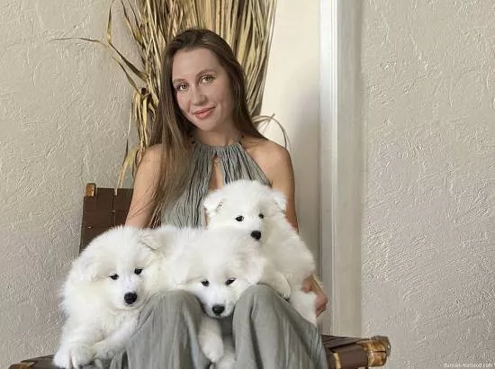 Белые и пушистые