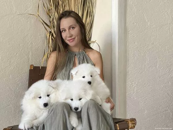 Белые и пушистые