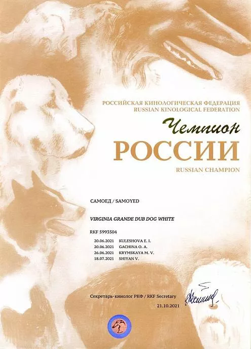 Диплом собаки - Вирджиния Чемпион России