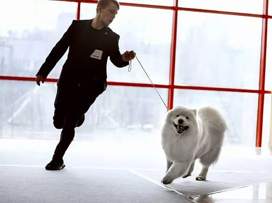 Lord Nord Duncan Macleod Sunshine (10) Белгород