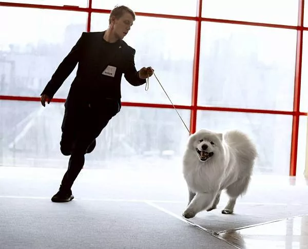 Lord Nord Duncan Macleod Sunshine (10) Белгород