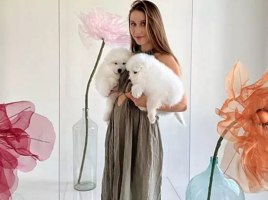 white and fluffy