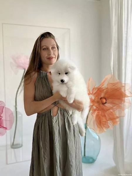 white and fluffy