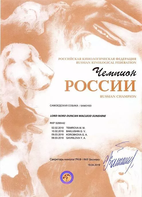 Диплом собаки - Дункан Чемпион России