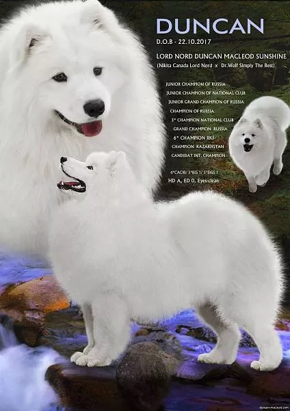 Дункан Маклауд