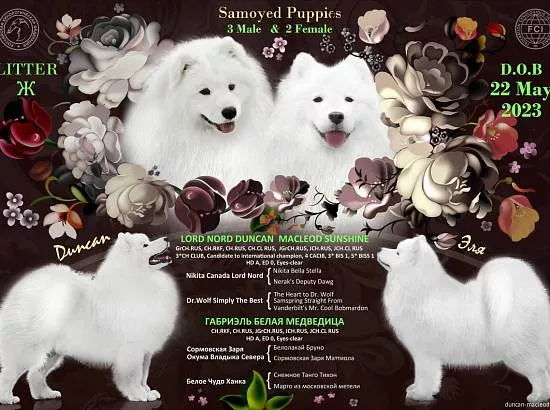 Дункан и Эля
