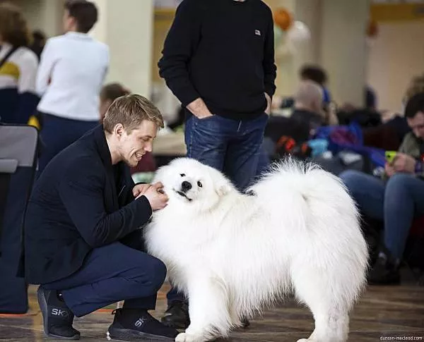 Lord Nord Duncan Macleod Sunshine (9) Белгород