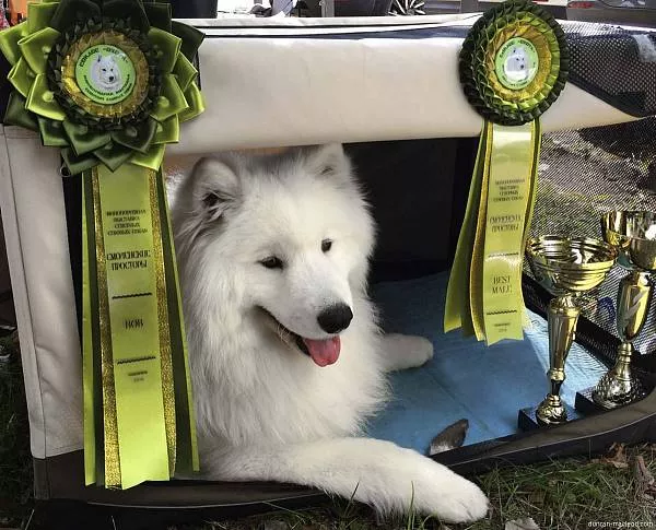 Lord Nord Duncan Macleod Sunshine (3) Смоленск