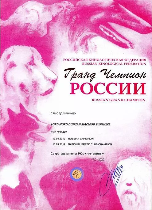 Диплом собаки - Дункан Гранд Чемпион России
