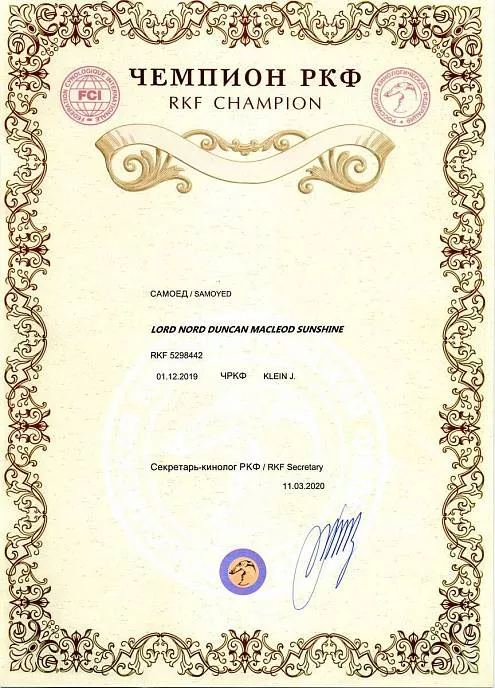 Диплом собаки - Дункан Чемпион РКФ 3