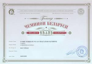 Диплом собаки - Дункан Гранд Чемпион Беларуси