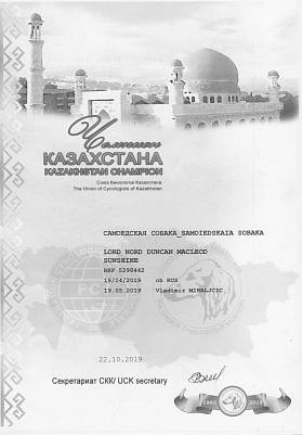 Диплом собаки - Дункан Чемпион Казахстана